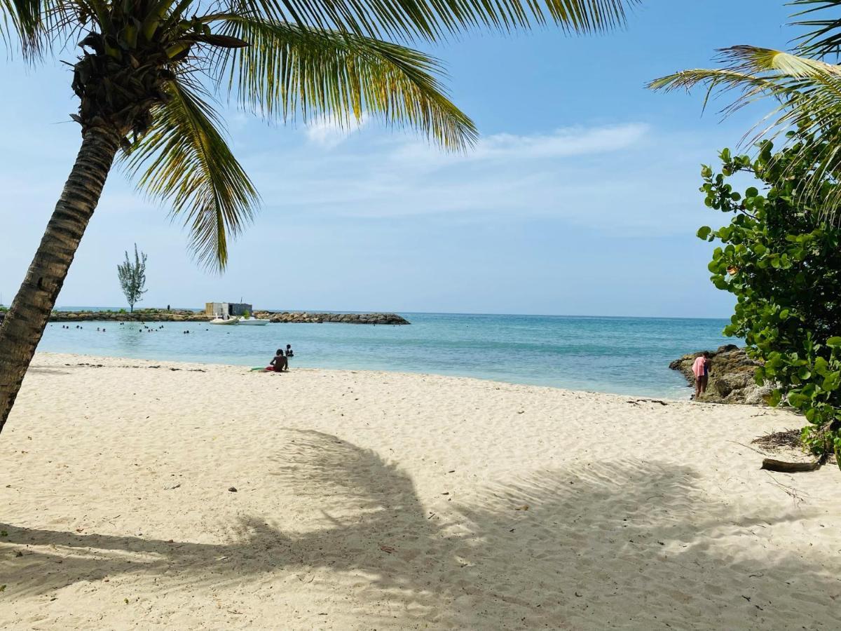 Vanille, A Proximite Des Plages, Idealement Situe Pour Visiter La Guadeloupe Le Gosier  Bagian luar foto
